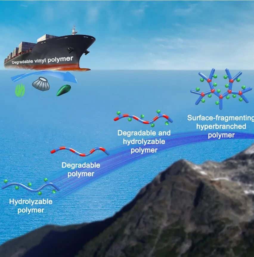 国先前沿科技速递：海洋防污新革命，香港科学家用天然分子打造“绿色铠甲