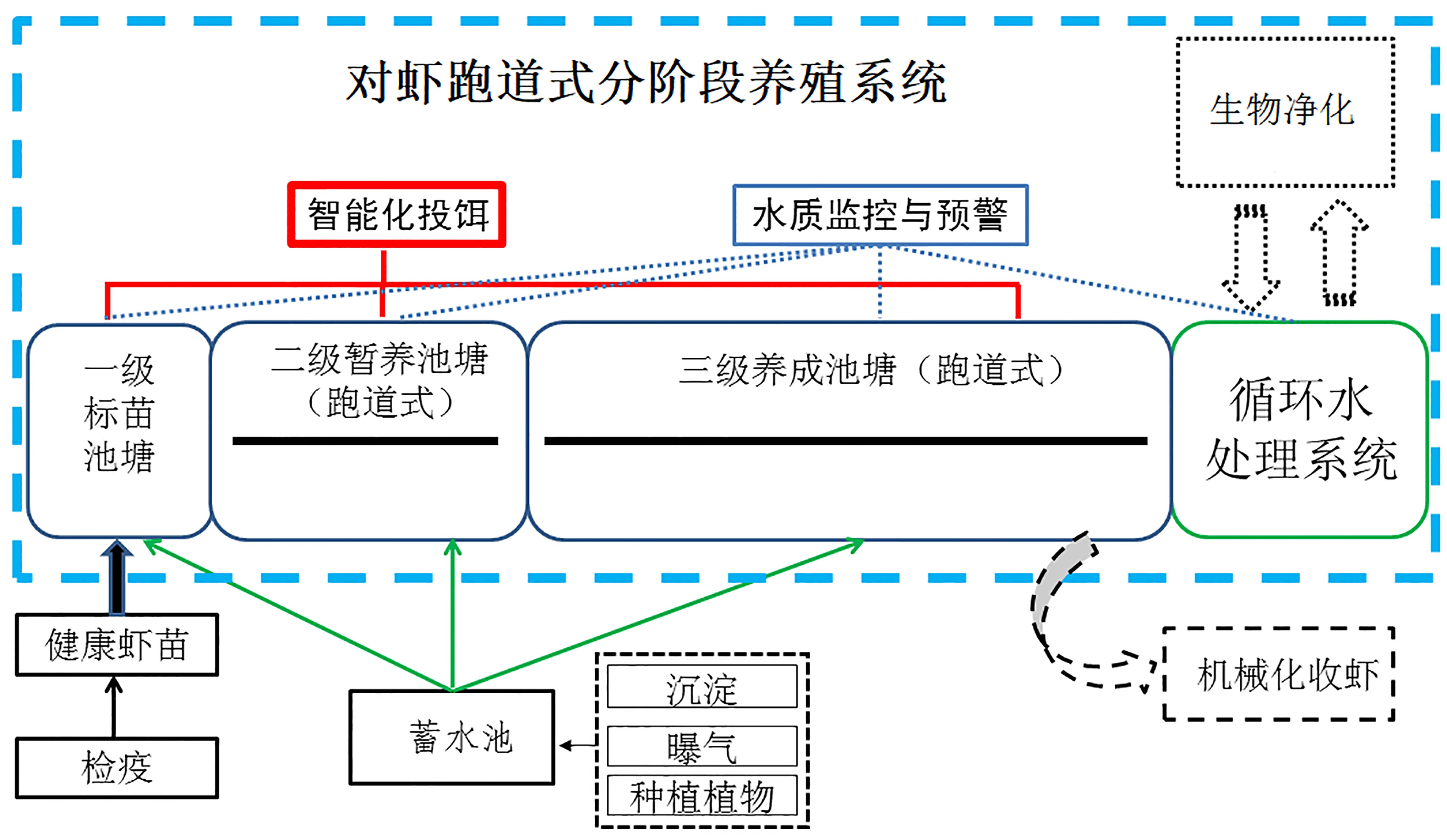 对虾设施化循环水养殖技术